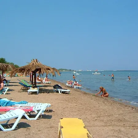 Irini *