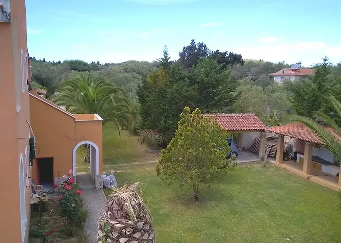 Irini And 卡沃斯